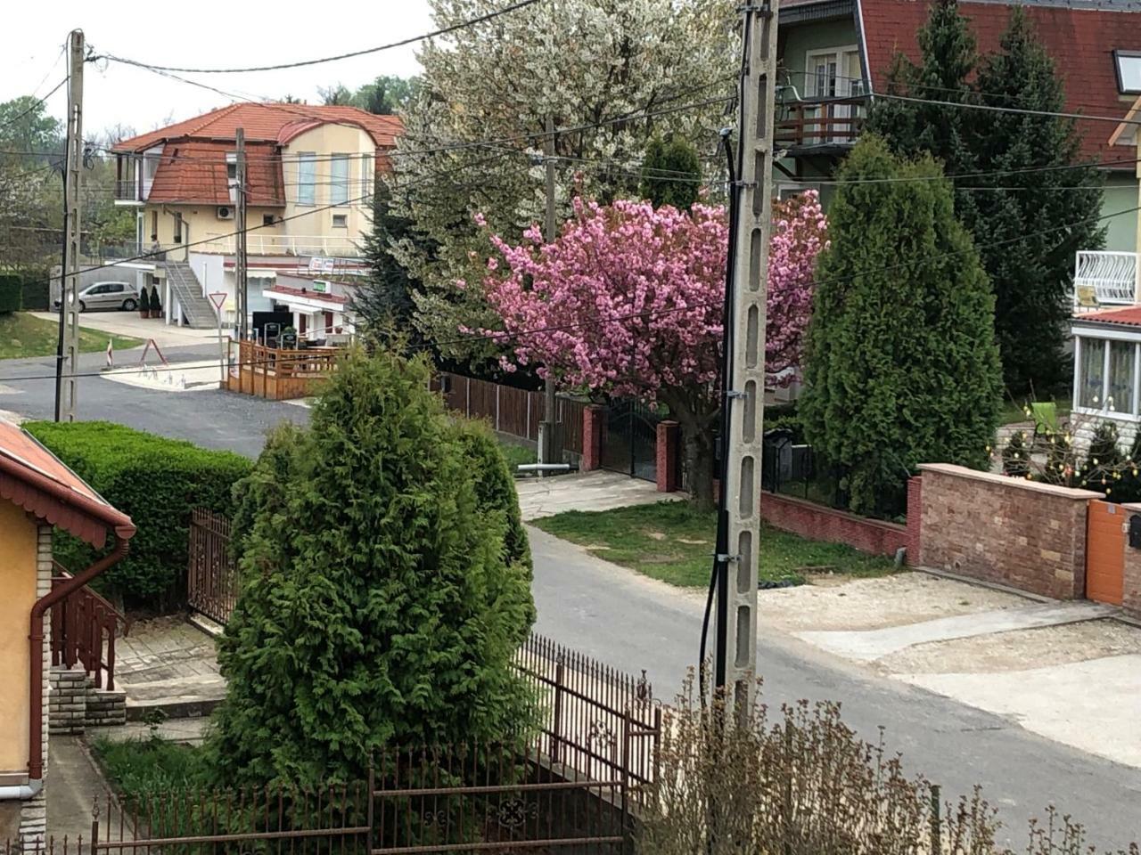 Jozsef Apartments House Zalakaros Eksteriør billede