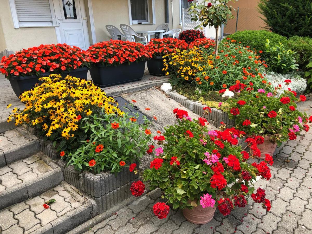 Jozsef Apartments House Zalakaros Eksteriør billede